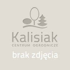 Drzewa i krzewy owocowe